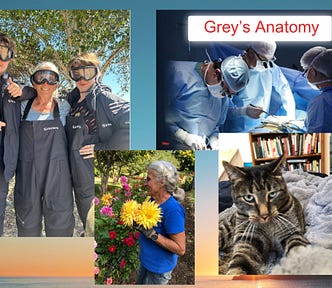 Photos of the female author ready to go on whale watching trip with her grandkids, of the author holding dahlias in the garden, of her cat, Darwin, and an image of surgeons with the words ‘Grey’s Anatomy’.