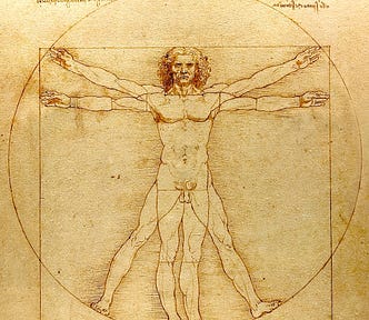 The Vitruvian Man