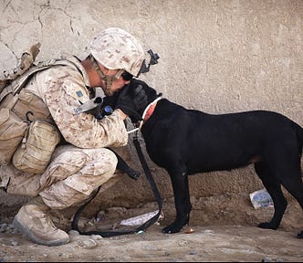 Soldier in full uniform crouched down kissing a big black dog on the head
