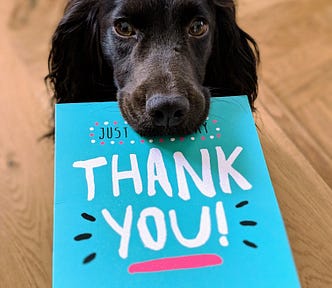 A dog holding a thank you card, gratitude benefits