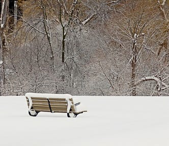Park bench in snow covered field facing a stand of snow covered, leafless trees.