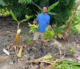 A black young adult male smiling, in a garden, standing in front of a mango tree and holding a stem of green plantain in each hand.