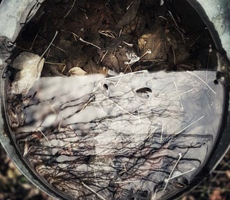 a birdbath filled with autumn leaves drenched in rainwater