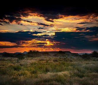 A field with a sunset in the background