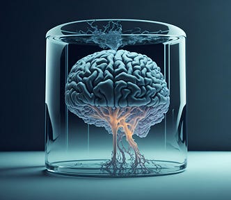 Brain, consciousness, and computing