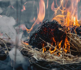 Dried Grass on Fire Depicting War and Smoke