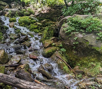 Babbling stream covered in lush moss