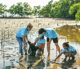 Volunteers working on Mangrove restoration.