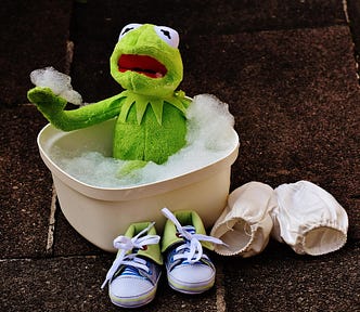Kermit the frog in a bathtub, looking nervous. (Mobility assistance floor lift)