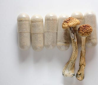 two dried mushroom stems atop a line of microdosing capsules