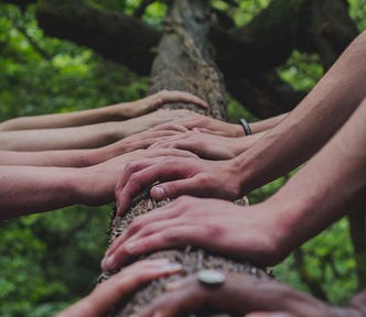 Hands on a tree — creative meeting space.