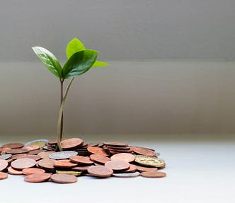 Green plant on brown round coins