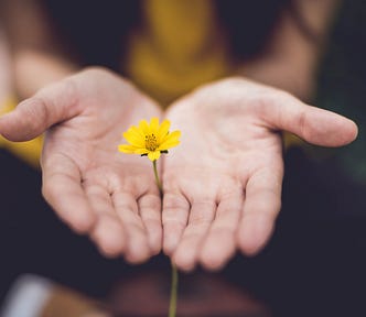 Two hands, a small flower.