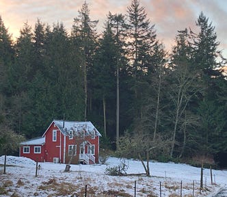 Author’s image of her 1905 cottage in the woods with fallen limb of the old apple tree