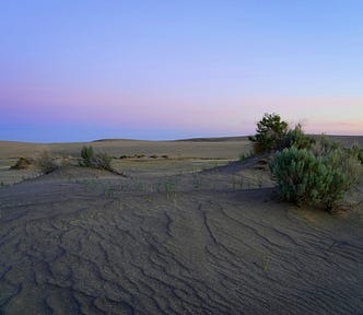 A twilight desert landscape with dark sand rippled by wind in the foreground, sparse sagebrush catching the last light, and a vast open horizon beneath a sky fading from soft pink to blue.