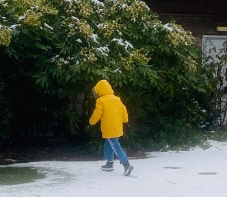 My daughter running in the snow. Small child in bright yellow snow jacket runs toward bushes, back turned toward viewer.