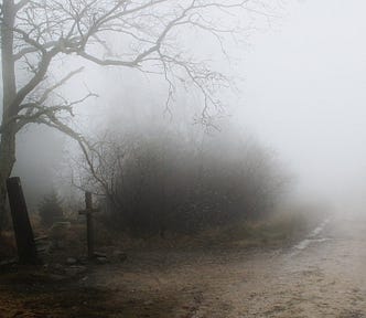 a foggy moor and a dirt track