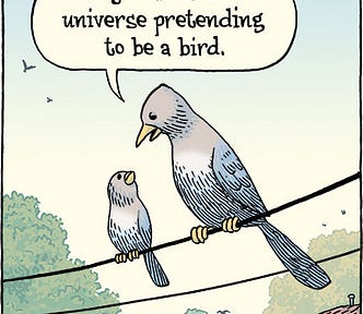 Comic of an adult bird speaking to a baby bird as they sit on a wire. The adult says to the baby, “You are the universe pretending to be a bird.”