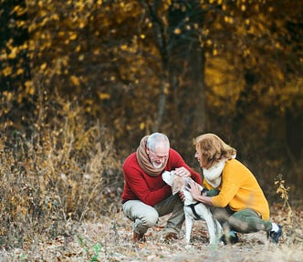 older man and woman crouching down in the woods, patting a beagle dog