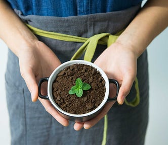 A person holding up a pot with a plant growing in it