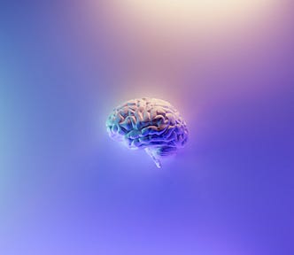 Three-dimensional representation of a human brain on a lavender colored background