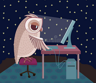 An owl working in his computer late at night outside with a view full of stars.