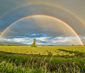 Double rainbow over a green field on a beautiful day