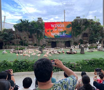 Bird Park in Singapore