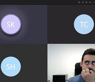 A video call meeting screenshot