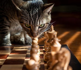 Every text about strategy should have a chess image :)