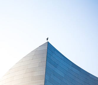 Bird flying right over the apex of the corners of a concrete wall