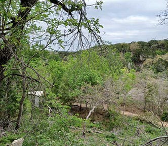 Springs trees across a valley