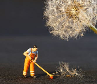 Tiny man sweeping dandelion seeds.