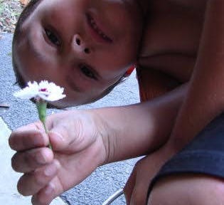 little boy offering a daisy to the camera (favorite grandparent)