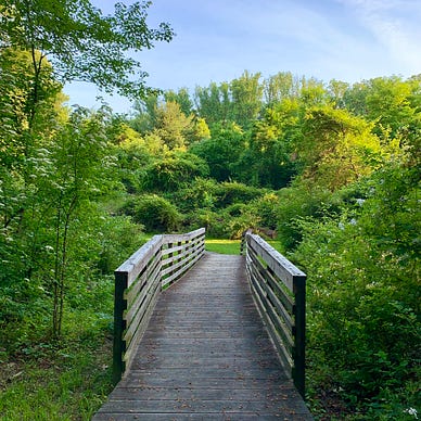 Bridge