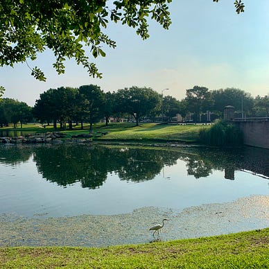 Lake