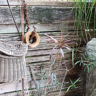 Basket hanging in front of weathered timber