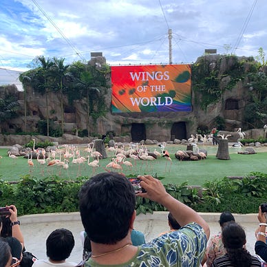 Bird Park in Singapore
