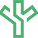 Cactus Capital