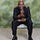 Solomon ndungu