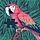 Nada_Hamed