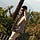 Shubham Shikhar
