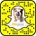 Petplan Pet Insurance