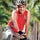 Srikanth Nadhamuni