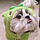 Sheetsu.com