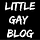 Little Gay Blog