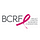 The Breast Cancer Research Foundation
