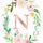 The World of Naina