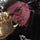 Gunnar Kleemann MIDS Ph.D