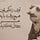 frogh_makhfi